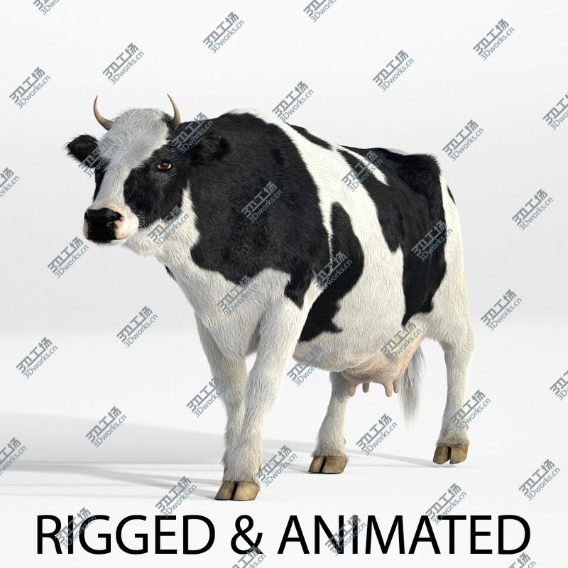 images/goods_img/202104091/Cow - realistic - rigged and animated/1.jpg